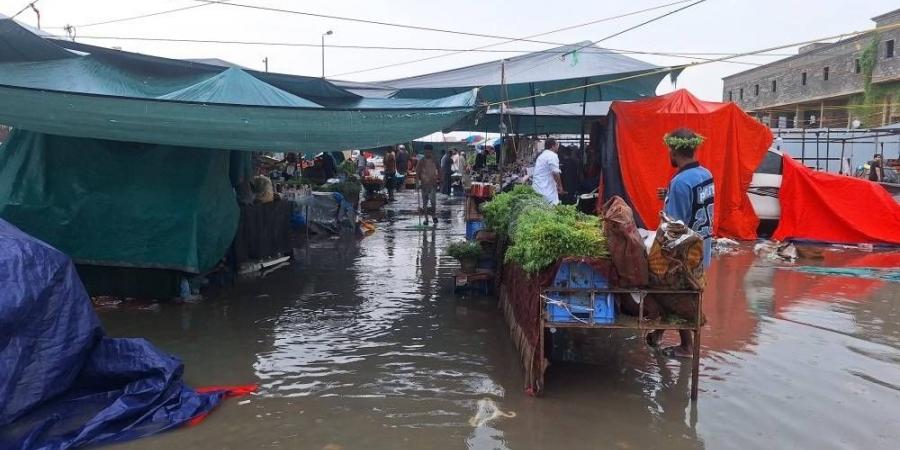 أمطار الفجر ترفع جاهزية جازان - هرم مصر
