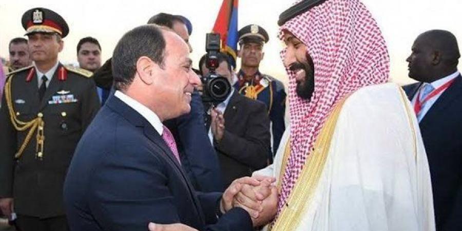 مصر والسعودية تشددان على ضرورة الإسراع في إدخال المساعدات الإنسانية إلى غزة دون عوائق - هرم مصر