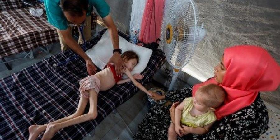 «باعترافاتهم».. تسريبات إسرائيلية تكشف أن 83% من ضحايا العدوان على غزة مدنيون - هرم مصر