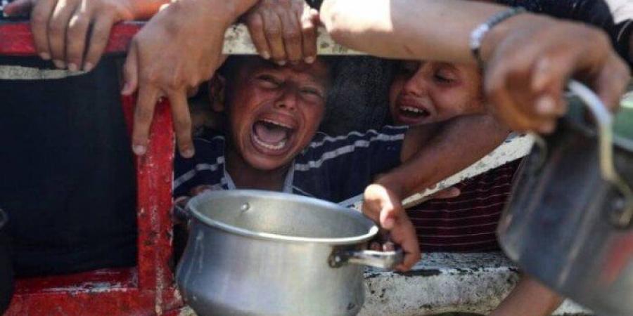 «حشد» تطالب المجتمع الدولي بتدخل إنساني حاسم لضمان وقف حرب الإبادة في غزة - هرم مصر