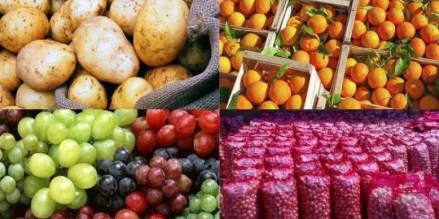 وزير الزراعة: الصادرات الزراعية المصرية تحقق 6.8 مليون طن حتى الآن - هرم مصر
