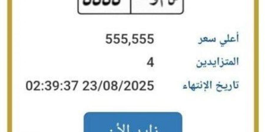 بنصف مليون جنيه.. طرح التزايد على لوحة سيارة مميزة | اعرف الخطوات - هرم مصر