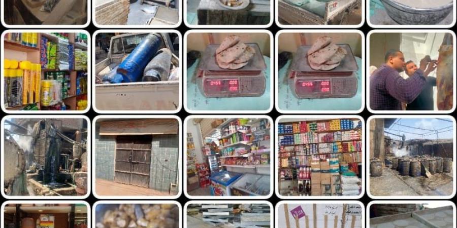 تحرير 313 مخالفة تموينية خلال حملات على الاسواق بالقليوبية  - هرم مصر