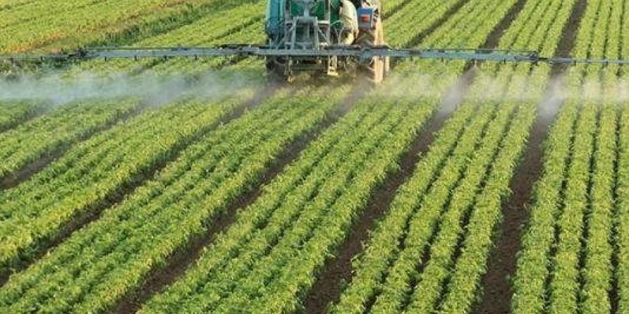 خبير: طفرة الصادرات الزراعية تعكس قوة الاقتصاد الوطني وتفتح آفاقا جديدة للاستثمار - هرم مصر