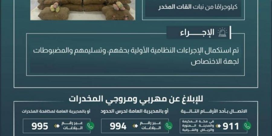 القبض على 10 مخالفين بعسير لتهريبهم 180 كلجم من نبات القات - هرم مصر