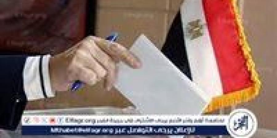 تعرف على موعد انتخابات جولة الإعادة لمجلس الشيوخ بالخارج - هرم مصر