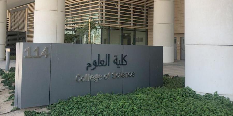 الجامعة تنظم دورة عن «الكيمياء» - هرم مصر