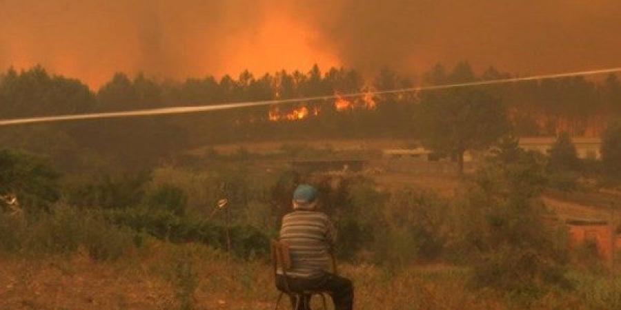 موجة حر شديدة تودي بحياة أكثر من 1300 شخص في البرتغال - هرم مصر