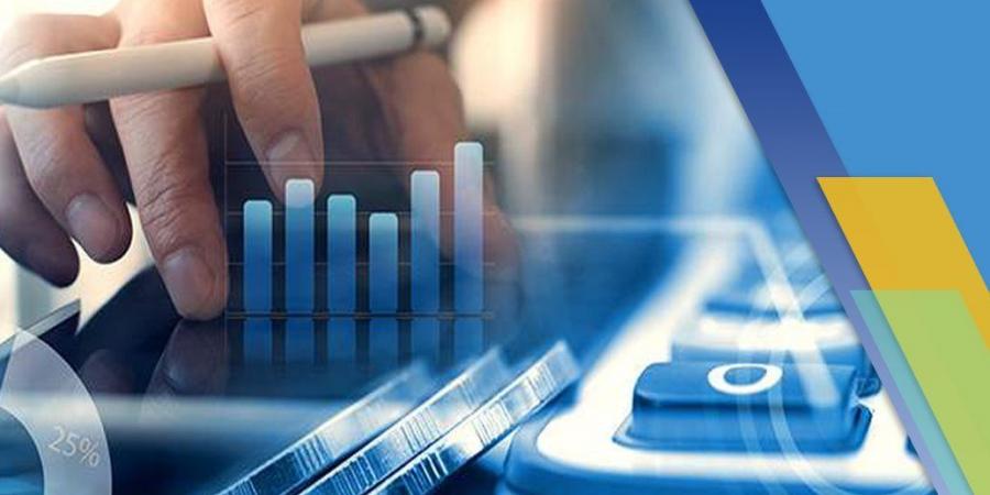 خبير اقتصادي: الحصيلة الضريبية بلغت 82% من إجمالي الإيرادات في 2024 - هرم مصر