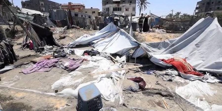 استشهاد 17 فلسطينيًا في قصف الاحتلال الإسرائيلي خيامًا للنازحين في قطاع غزة - هرم مصر