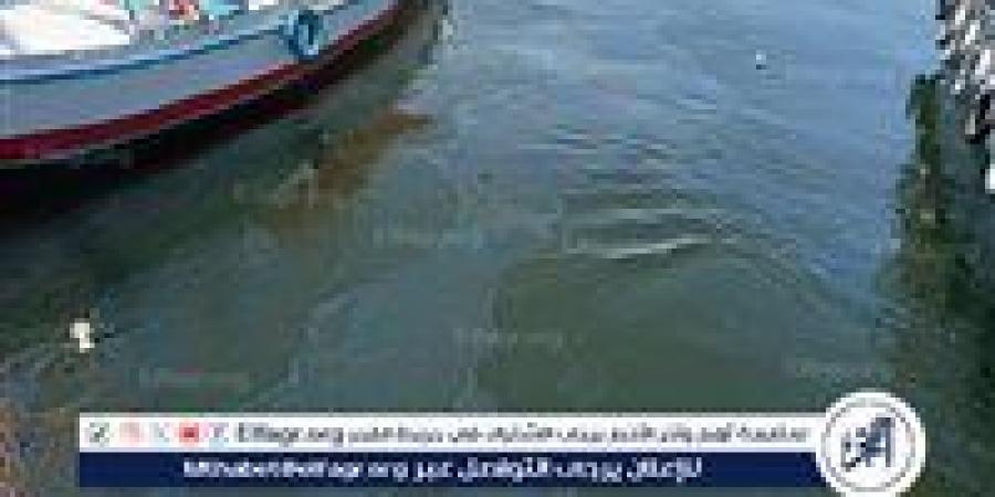 «مياه الأقصر» تسيطر على بقعة زيت فى مياه النيل دون تأثر المواطنين أو إنقطاع الخدمة - هرم مصر