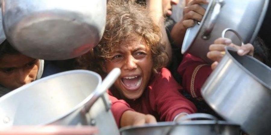 الدولية لدعم حقوق الفلسطينيين : إعلان المجاعة في غزة تأخر كثيرًا - هرم مصر