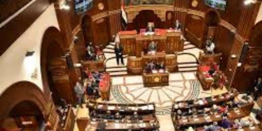 برلماني: مصر قادرة على صد أي اعتداء على سفاراتها.. ومواصلة جهودها لدعم غزة - هرم مصر