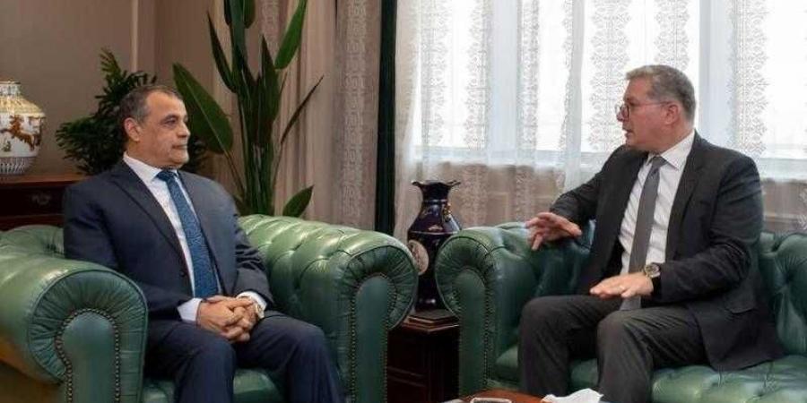 وزيرا ”الإنتاج الحربي” و”البترول” يبحثان سبل تعزيز التعاون المشترك - هرم مصر