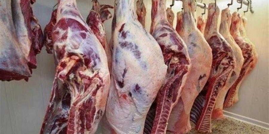 أسعار اللحوم الحمراء اليوم الأحد - هرم مصر