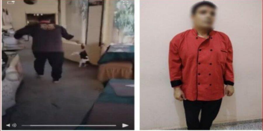 القبض على «طباخ» ضرب قطة حتى الموت في مطروح - هرم مصر