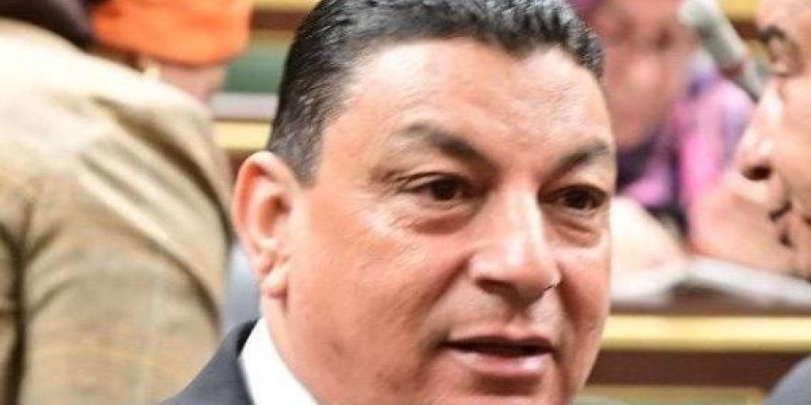 برلماني: جماعة الإخوان الإرهابية تستغل مأساة غزة للمزايدة على دور مصر - هرم مصر