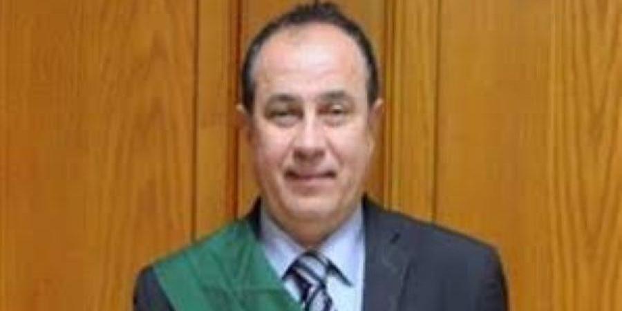 محاكمة 117 متهمًا بقضية «خلية اللجان الإعلامية» .. في هذا الموعد - هرم مصر