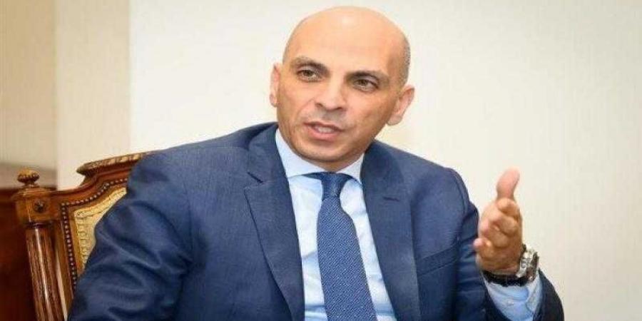 متحدث الخارجية: الحديث عن تراجع دور مصر بالقضية الفلسطينية ”عبث سياسي” - هرم مصر