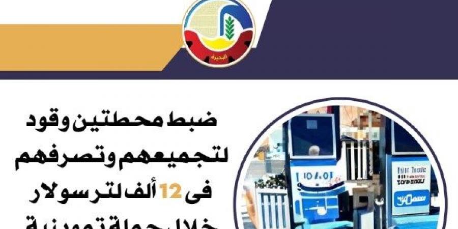 ضبط محطتي وقود بالبحيرة تتلاعبان بـ12 ألف لتر سولار في السوق السوداء - هرم مصر