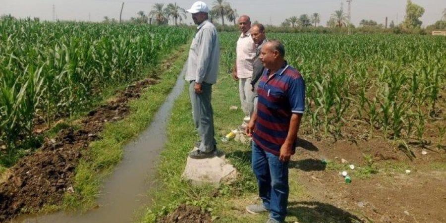 «زراعة أسيوط» تُنفذ يوم حقلي بمركز منفلوط ضمن مشروع ترشيد استخدام المياه - هرم مصر