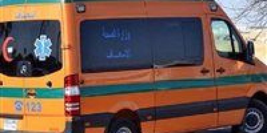 مصرع طالب بكلية الطب في انقلاب سيارة بطريق الفيوم – بني سويف الصحراوي - هرم مصر