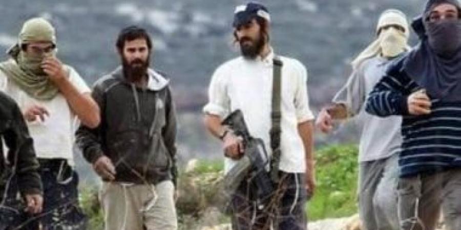 مستعمرون ينصبون عشرات "الكرفانات" شرق مدينة الخليل الفلسطينية - هرم مصر