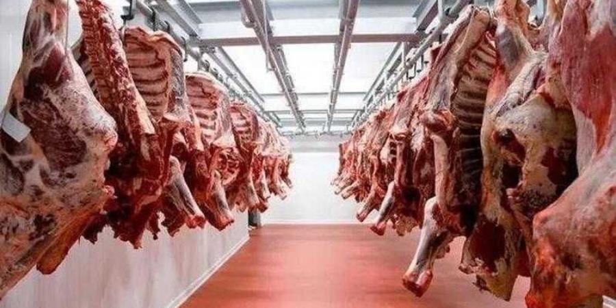 أسعار اللحوم الحمراء اليوم الإثنين - هرم مصر