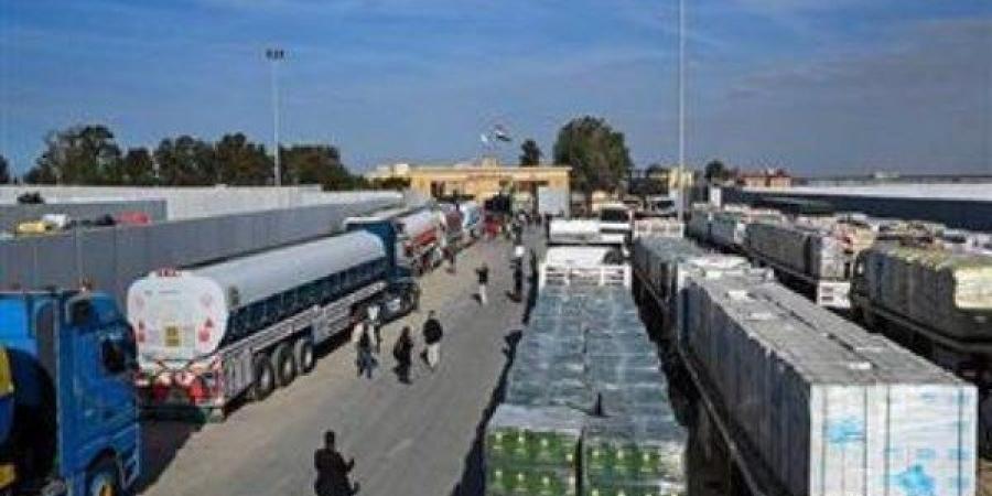 عضو التحالف الوطني:  دعم أشقائنا في غزة أولوية قصوى.. وتعليمات الرئيس السيسي واضحة - هرم مصر