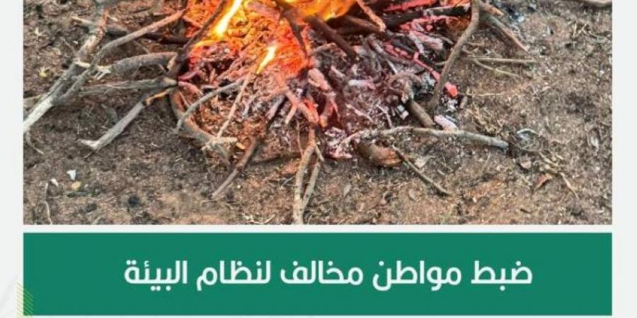 الأمن البيئي يضبط مواطنًا مخالفًا لنظام البيئة لإشعاله النار في غير الأماكن المخصصة لها في محمية الإمام فيصل بن تركي الملكية - هرم مصر