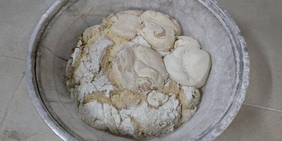 أمانة جدة تُغلق مخبزًا عشوائيًا بالحرازات - هرم مصر