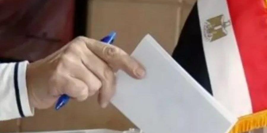 تفاصيل جولة الإعادة في انتخابات الشيوخ للمصريين بالخارج - هرم مصر