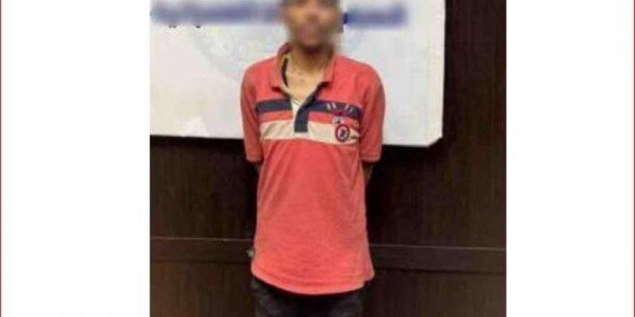 الداخلية تكشف عن ملابسات فيديو سرقة أحد الأشخاص بالمغافلة في الجيزة - هرم مصر