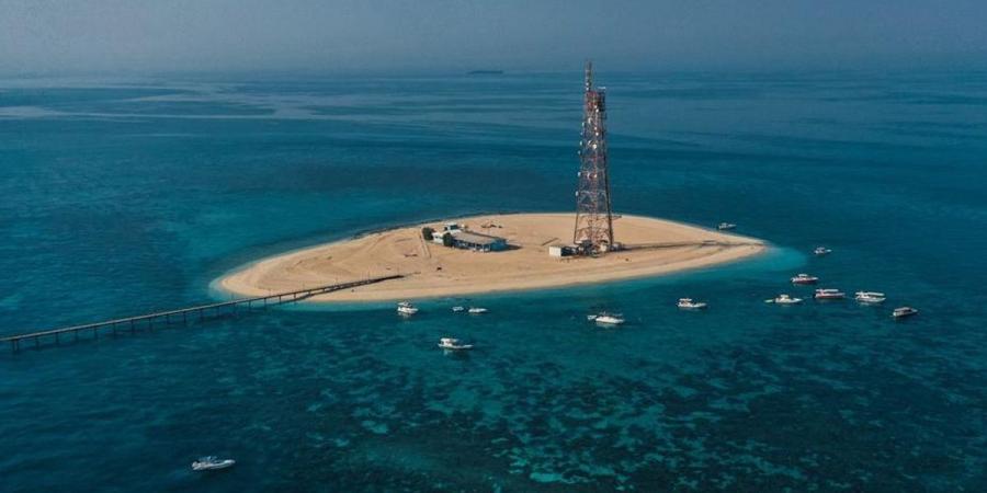 «البلدية»: 5000 كيس حصيلة جمع نفايات الجزر ضمن حملة «شواطئنا جميلة» - هرم مصر