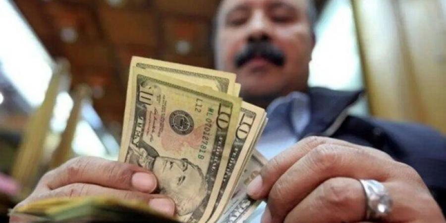 البنك المركزي: 36.5 مليار دولار حصيلة تحويلات المصريين بالخارج خلال عام - هرم مصر