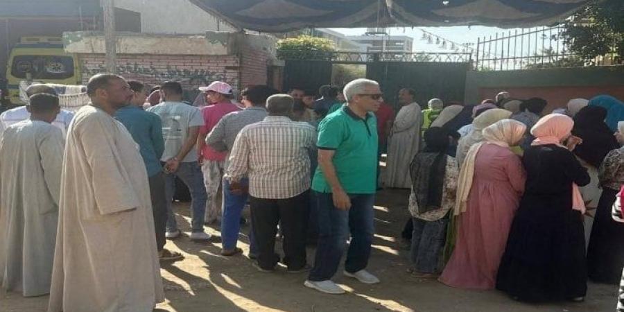 لجان الاعادة في انتخابات الشيوخ تستقبل المواطنين ببني سويف - هرم مصر