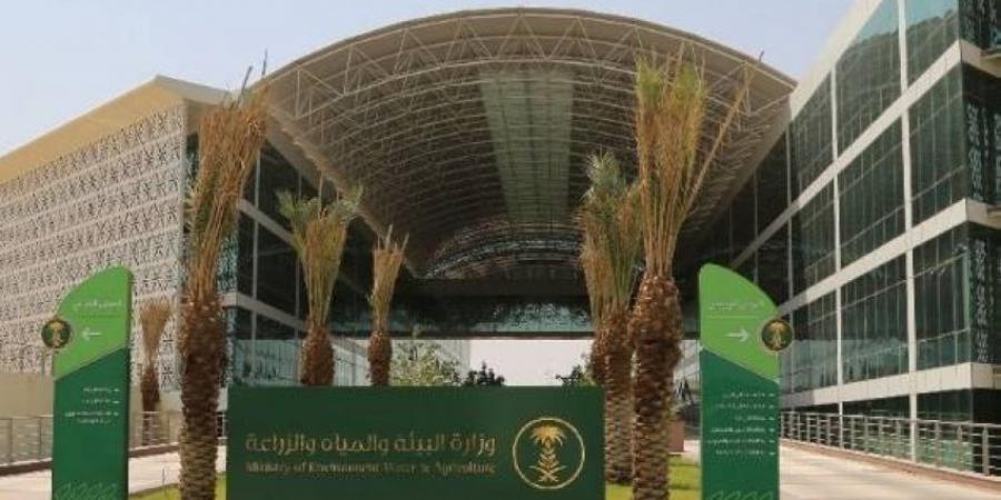 ورشة عمل للنحالين لتعزيز الإنتاجية - هرم مصر