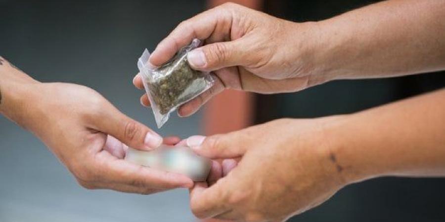 «الميديا فضحتهم».. حبس عصابة بيع المخدرات وسط شوارع المطرية - هرم مصر