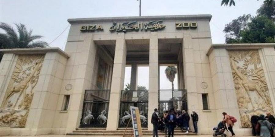 التذكرة أقل من 400 جنيه.. موعد افتتاح حديقة الحيوان والأسعار - هرم مصر