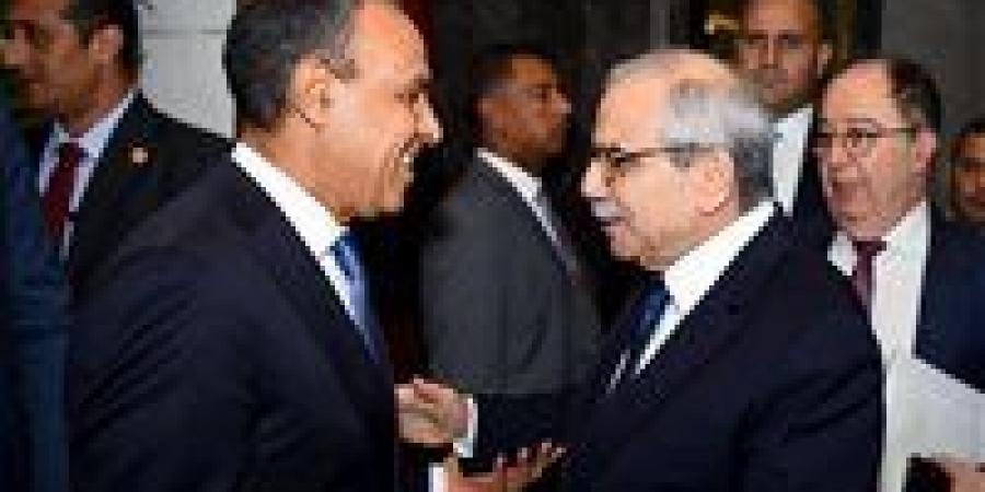 وزير الخارجية يلتقي رئيس وزراء لبنان بمدينة العلمين - هرم مصر