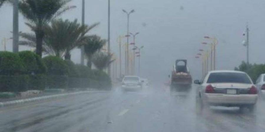 حالة الطقس غدا.. جو رطب وفرص أمطار خفيفة في هذه المناطق - هرم مصر