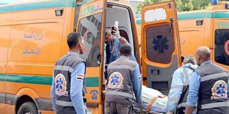 مصرع 3 أشخاص وإصابة 9 آخرين في انقلاب ميكروباص بصحراوي المنيا - هرم مصر