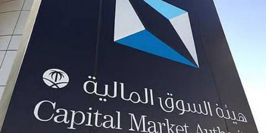 السماح لمؤسسات سوق المال بتقديم خدمة المستشار الآلي - هرم مصر