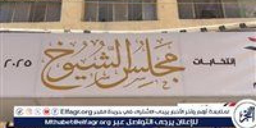 عاجل- الهيئة الوطنية للإنتخابات:جولة الإعادة شهدت كثافة من المواطنين دون شكوى - هرم مصر