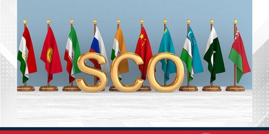 حجم التجارة بين الصين ودول "منظمة شانغهاي للتعاون" يتجاوز 512 مليار دولار - هرم مصر
