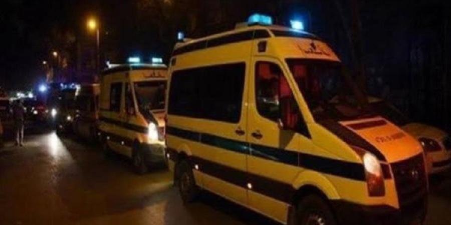 مصرع شخصين صعقا بالكهرباء داخل مزرعة بالمنيا - هرم مصر