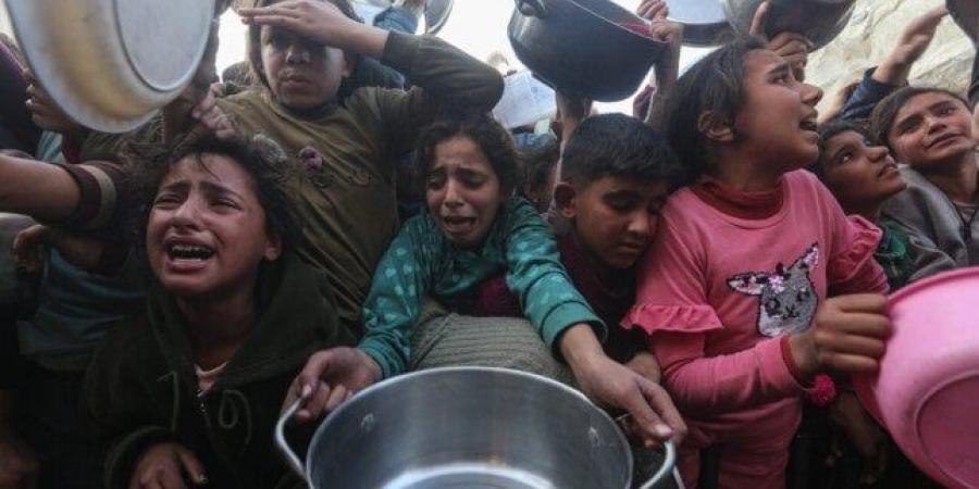«ميد جلوبال»: المجاعة باتت واقعًا في غزة.. والأطفال سقطوا فريسة سوء التغذية - هرم مصر