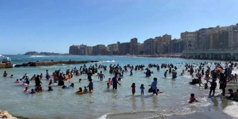 عودة الحياة إلى شواطئ الإسكندرية بعد انتهاء «ملتم أغسطس» - هرم مصر