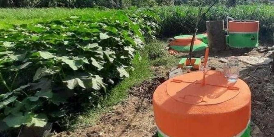 وزيرة التنمية تستعرض دراسة تفصيلية شاملة حول كميّات المخلّفات الحيوانية المتولدة - هرم مصر