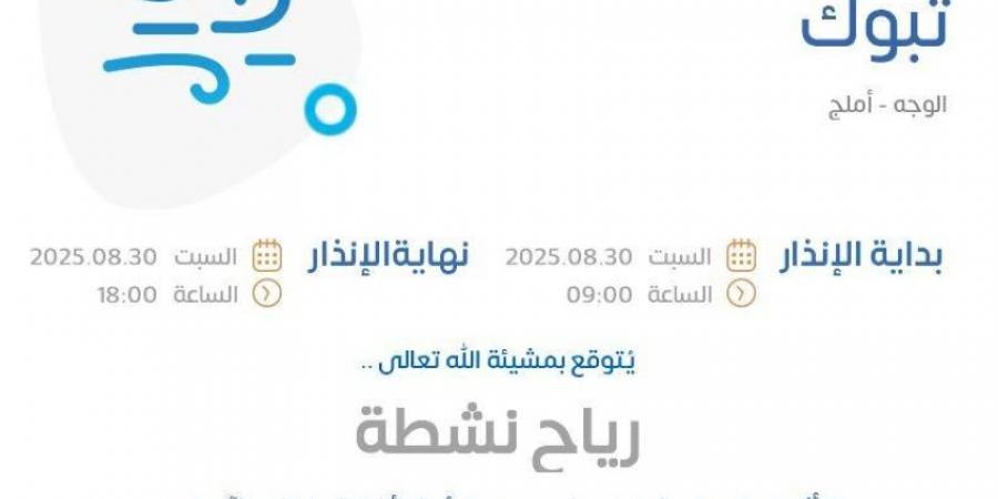 الأرصاد: رياح نشطة على منطقة تبوك - هرم مصر